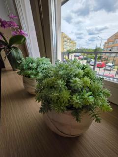 Apartament PREMIUM Dywizjonu 303 - Olsztyn - 2