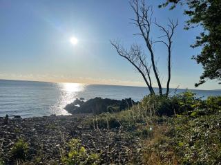 Charming House With Sea View And Large Plot - Sandkås - 2