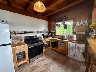 Stunning Lake Views Wine Country - Burdett - 5