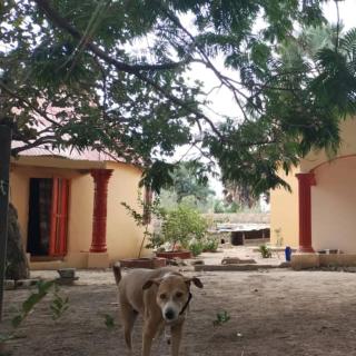 Sunshine Guesthouse Bafuloto - - 0