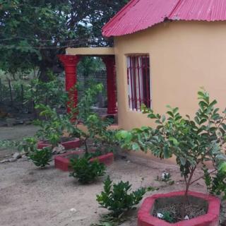 Sunshine Guesthouse Bafuloto - 1