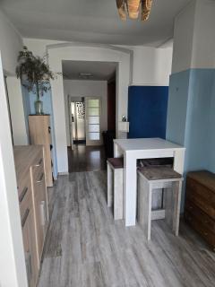 House with good connection - Vienne - 7
