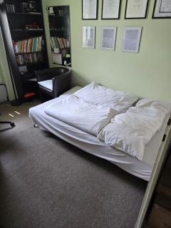 House with good connection - Vienne - 5