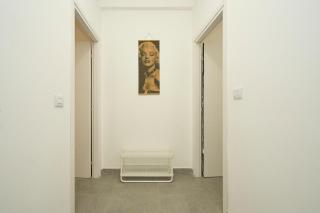 HUMANITAS - 2 minuti a piedi - Rozzano - 6