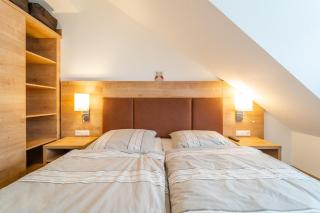 Apartment 311 - Feldberg - 5