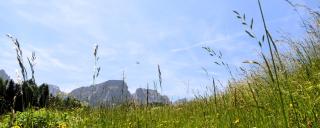 Alpin Chalet Frenademetz - San Martino in Badia - 8