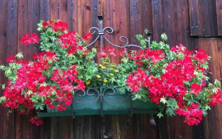 Haus Schartner Aloisia - Altaussee - 8