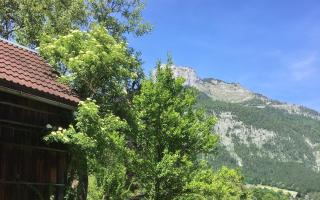 Haus Schartner Aloisia - Altaussee - 7