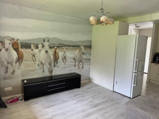 Yksiö Nuutajärvi Pikku Masa - Nuutajärvi - 4