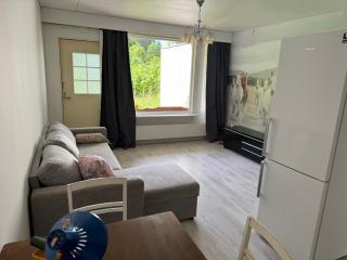 Yksiö Nuutajärvi Pikku Masa - Nuutajärvi - 0