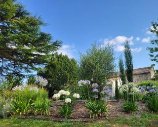 La suite du Grand Cèdre - Lussac - 1