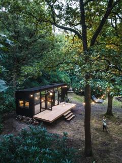 Cabins in the woods with wellness - 8