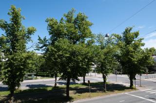 Design Studio, Vallila Helsinki - Helsinki - 3