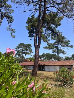 Les Pastourelles - Capbreton - 9