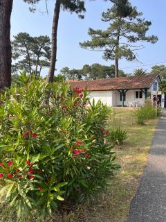 Les Pastourelles - Capbreton - 8