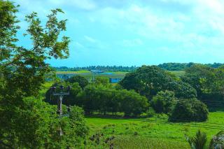 Airport and Paddy View Home Stay - Katunayake - 8