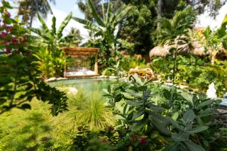 Villa Pantai - Signature Property - Gili Air - 9