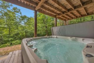 Blue Ridge Cabin in the Woods With Hot Tub - Blue Ridge - 1