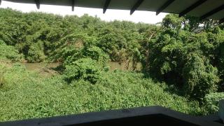 Mill Hill Alawwa - - 2