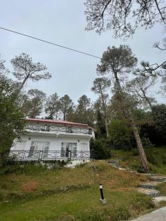 Blue Pines Resort & Restaurant - Murree - 1