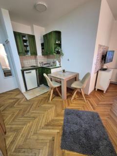 Green Apartment Novi Sad - 4