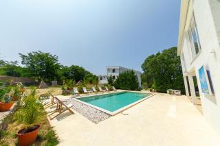 The Rock Star's Villa with Private Pool and Beach - Danilovgrad - 2
