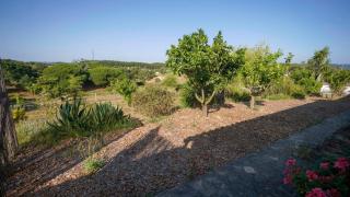 Monte dos Casarões Casa grande - São Luis - 8