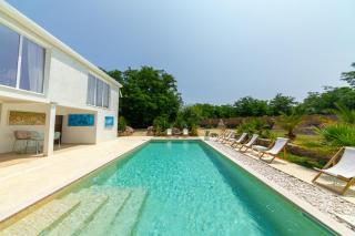 The Rock Star's Villa with Private Pool and Beach - Danilovgrad - 7