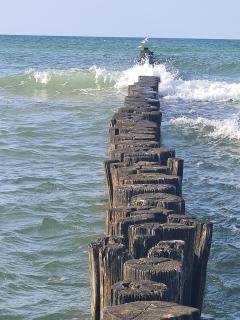 Bungalow "Achtern" - Zingst - 0