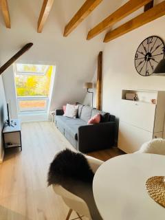 Modern, ruhig, gemütlich - Dachstudio nahe Frankfurt & Darmstadt - 0