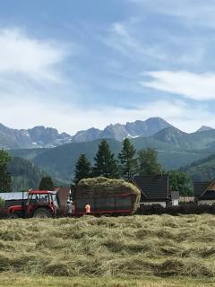 namiot dwu osobowy w namiocie tylko materac i dwie poduszki------ - Zakopane - 2