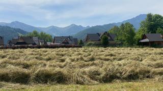 namiot dwu osobowy w namiocie tylko materac i dwie poduszki------ - Zakopane - 3