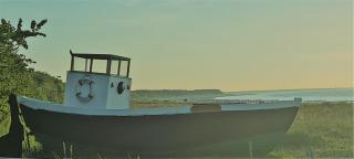 Zimmer " Sonnenschein" - Zingst - 9