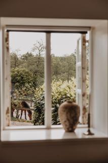 Idillyc summerhouse on horse farm Enggaarden - Dronningmølle - 9