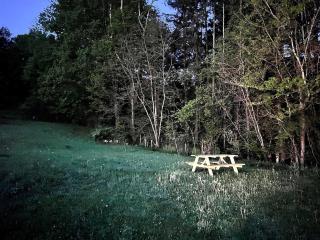 CampRV Lookout Apartment Peaceful Scenic Escape - 3
