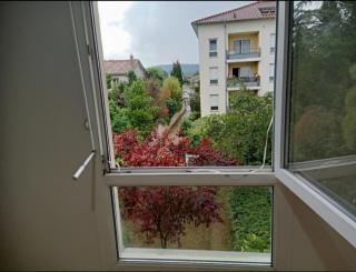 Bel appartement Type F2 vaux en velin Village 69120 - Vaulx-en-Velin - 9