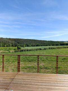 La cabane des biquets - Mazerolles-du-Razès - 4