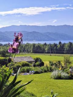 Ferienwohnung Mathilde am Attersee - Attersee am Attersee - 7