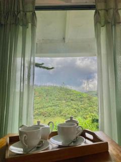 Lake Breeze - Nuwara Eliya - 7