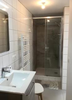 Appartement Lac D'annecy À Sevrier - Sévrier - 6