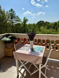 Appartement 1 chambre avec piscine - Gréoux-les-Bains - 9