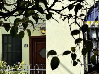 Vintage home in Roma Sur - Cedro - 3