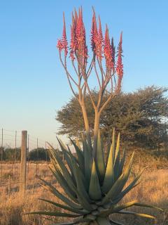 The Farm Shop - Grootfontein - 8