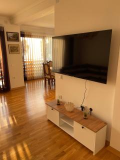 Meshkoski Apartments - Peštani - 6