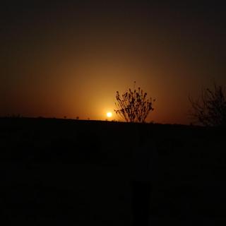 Sonal Guest House Jaisalmer - Jaisalmer - 5
