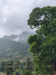 Ponnus Residency - Attappādi - 9