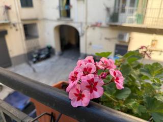 HrD Luxury Rooms - Palermo - 4