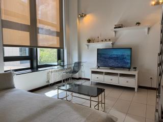 Lujoso Loft La Moraleja - 6
