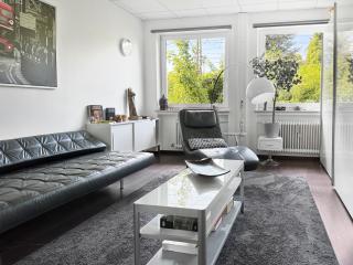 Private Munich Escape Cinema Lounge Sleeps 17 - München - 9