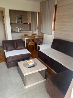 Apartman SMS - Vrnjci - 6